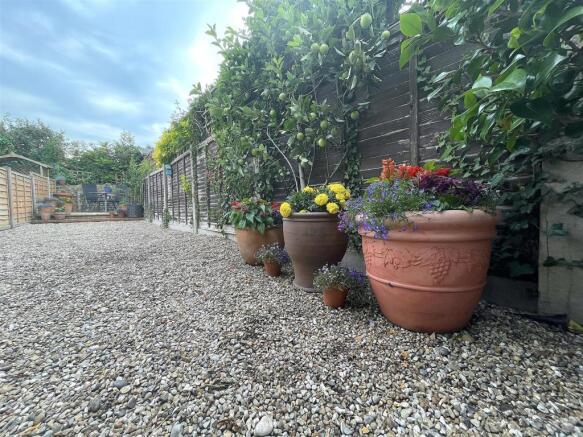 Garden (4).jpeg