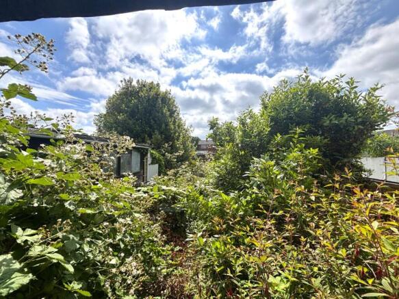 Garden.jpeg