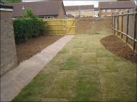 Rear garden