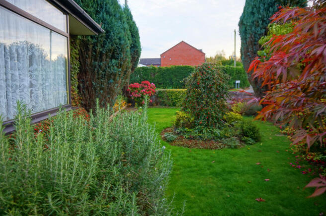Side Garden