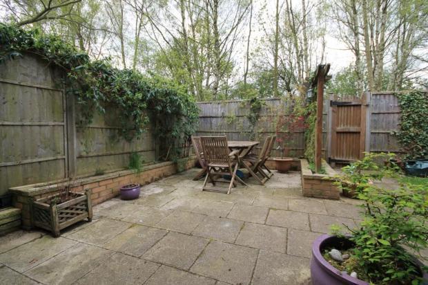 Garden Pic 1