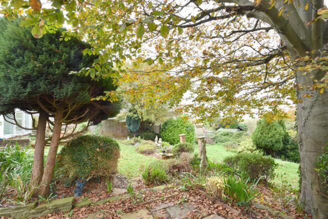 Rear Terrace / Garden