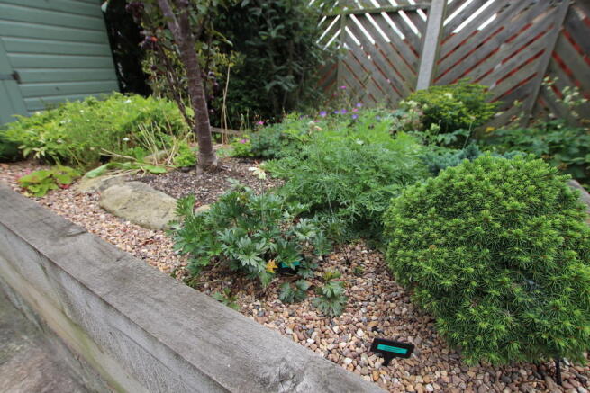 Garden Detail