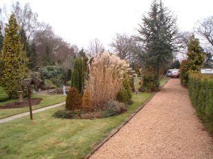 Garden With Driveway