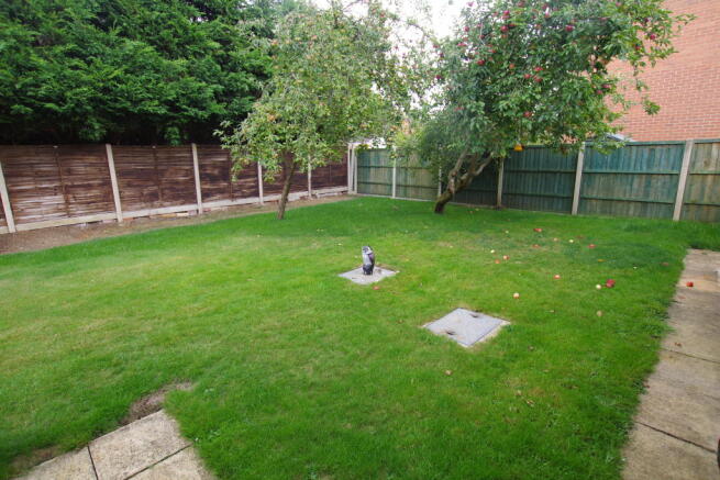 Garden 4