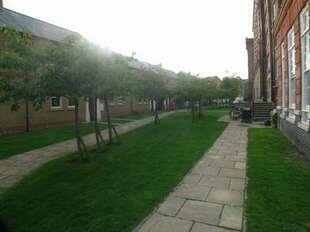 Communal garden