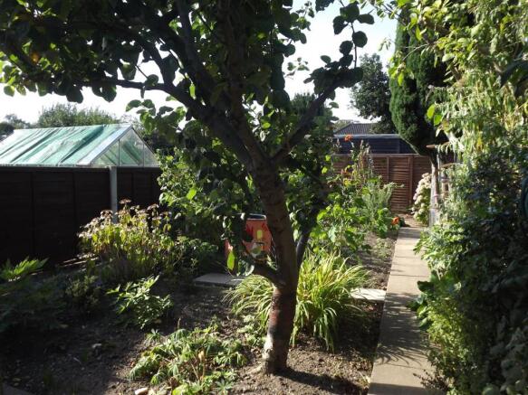 VEGETABLE PATCH