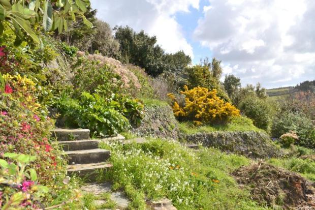 Stepped Garden