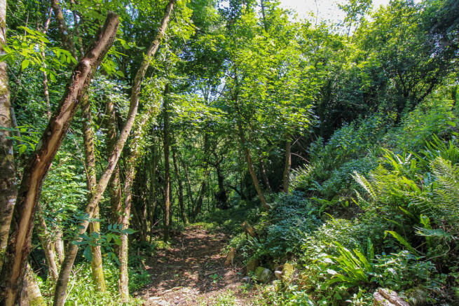 Entrance Path int...