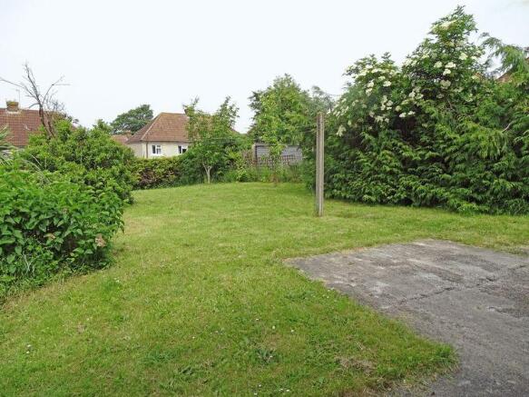 Back garden
