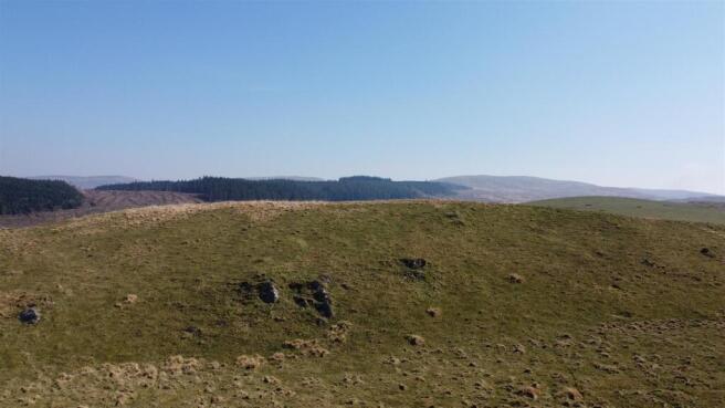 dji_fly_20250410_12012 pm_331_1744287691242_photo_