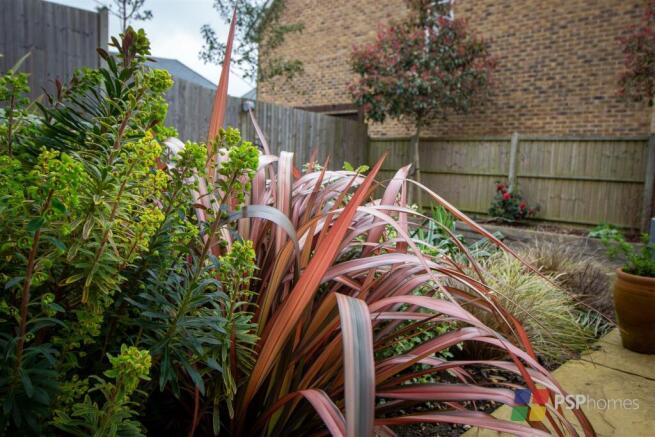 Lovely planting