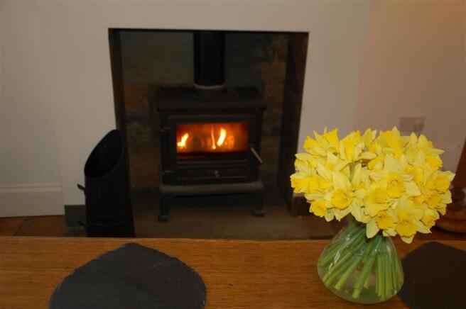Log Burner