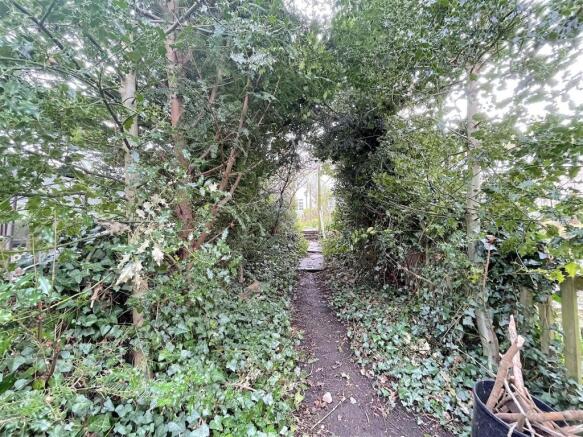 Garden (8).jpeg