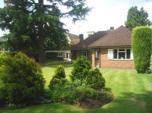 Rear Elevation