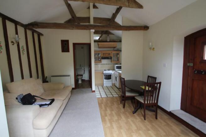 Living Room/Bedroom
