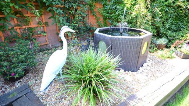 Garden 3