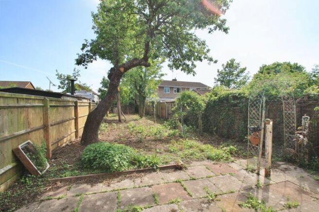 Garden & P...