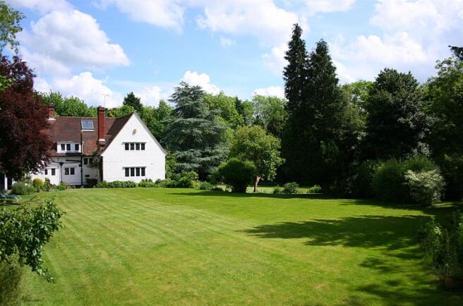 garden4.JPG