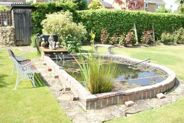 Garden Pond