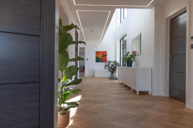 3M0A0070 T202603061749.jpg