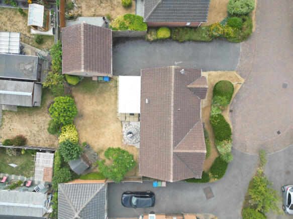 Birds Eye.JPG