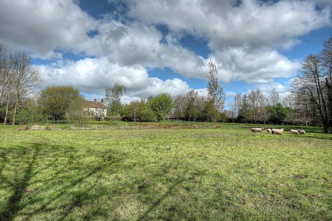 Photo 25