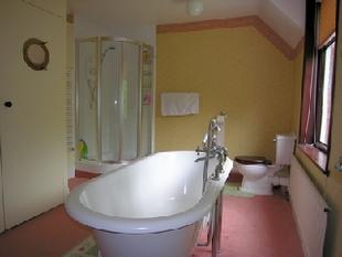 Another view of the family bath and shower room