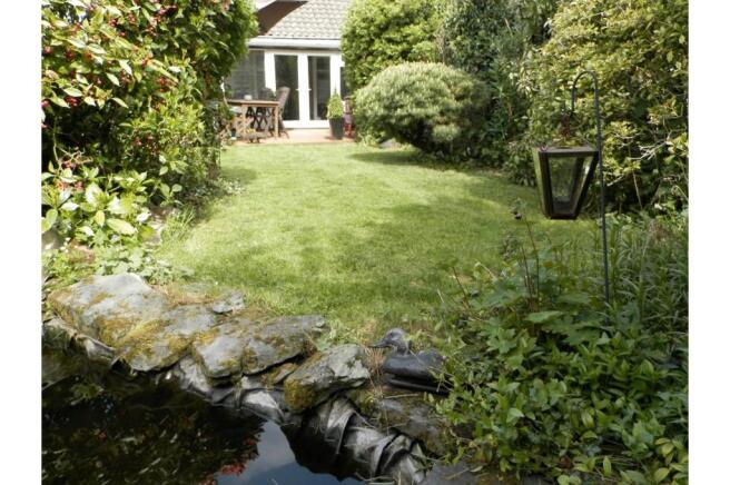Pond