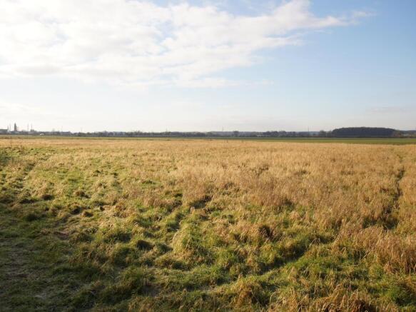 Image 15