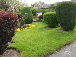 Front Garden