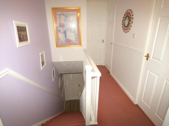 Image 13