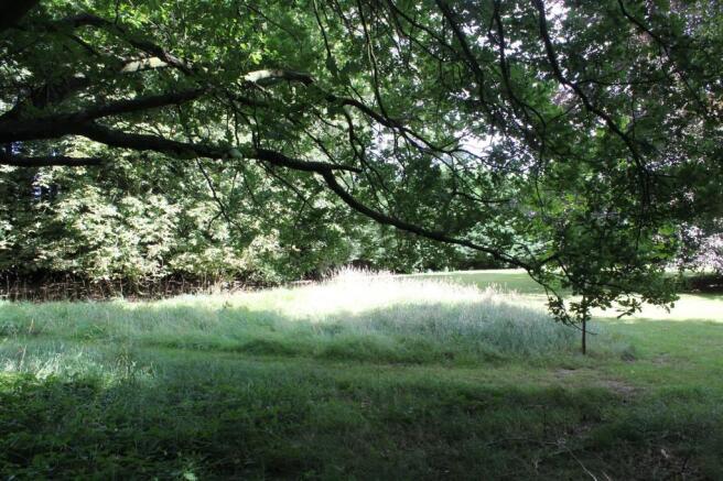 Woodland