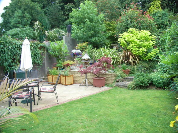 Photo 5