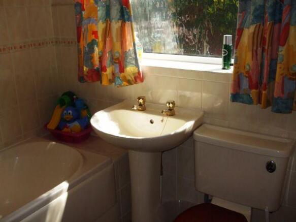 Photo 10