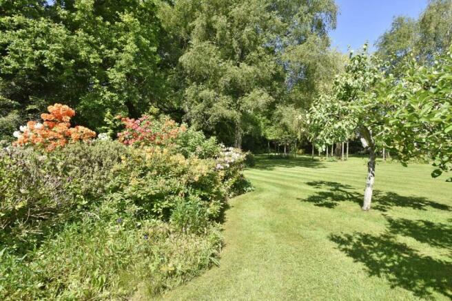 A GARDEN 4.JPG