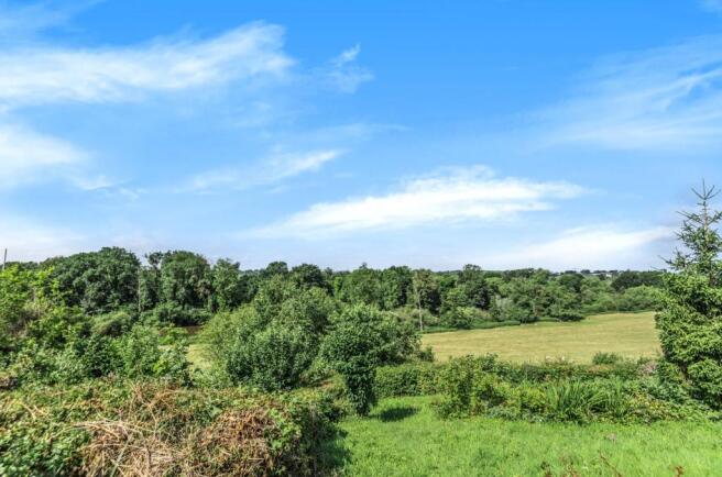 Surrounding Area