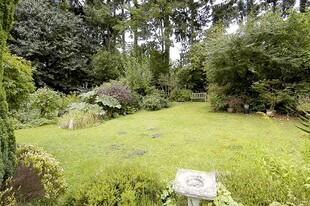 Current Rear Garden