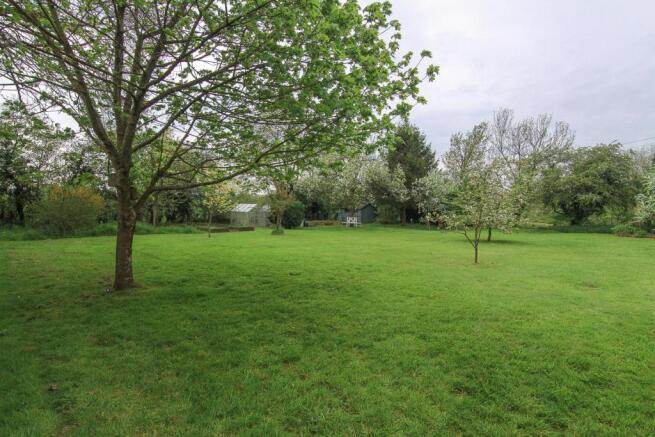 GROUNDS NBS-3.jpg