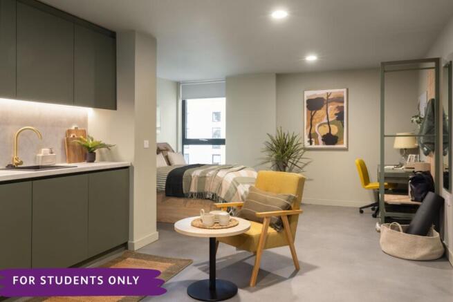 Roomy Studio Example