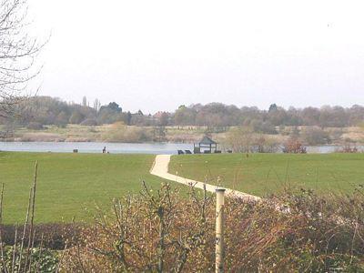 View over park