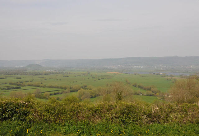 View to the Front