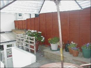 Garden Pic 2