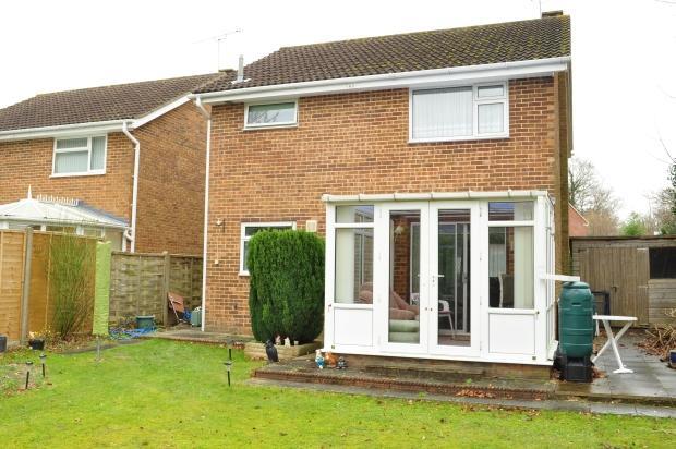 Rear Elevation