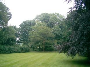 Grounds