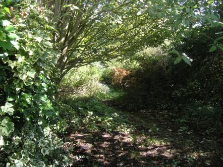 Photo 4