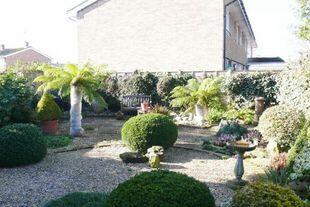 GARDEN