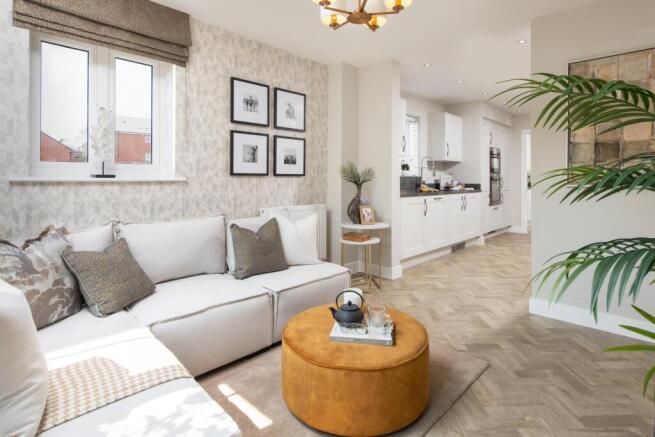 Showhome Photography