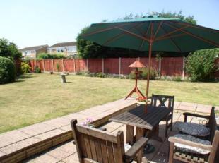 Patio Area