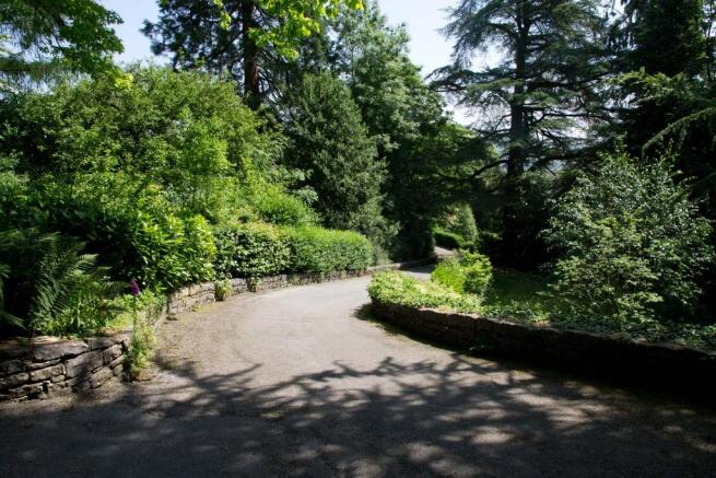 Private tree lined drive